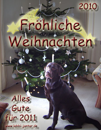 Fröhliche Weihnachten und guten Rutsch wünschen Frank und Isa mit Jantar