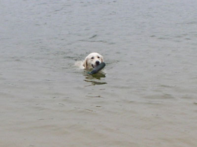 Caja hat sich nach zwei Jahren entschlossen, zu schwimmen.