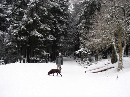 Mit Jantar im Harz