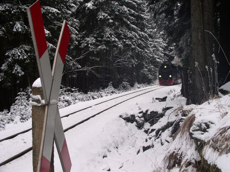 Mit Jantar im Harz