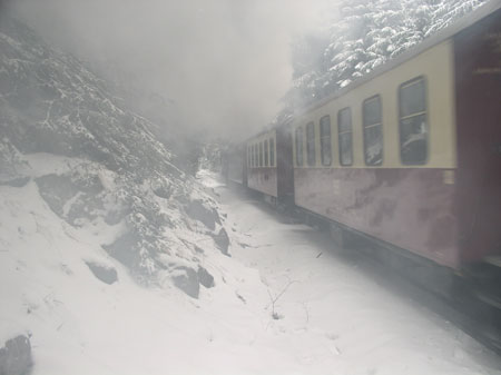 Mit Jantar im Harz