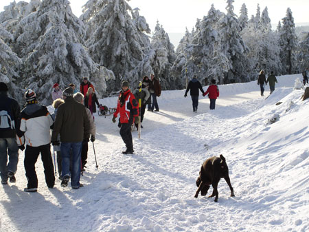 Mit Jantar im Harz