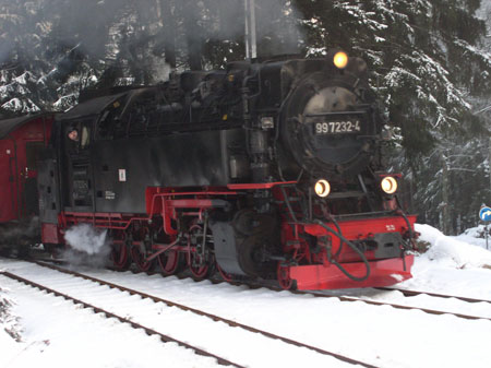 Mit Jantar im Harz