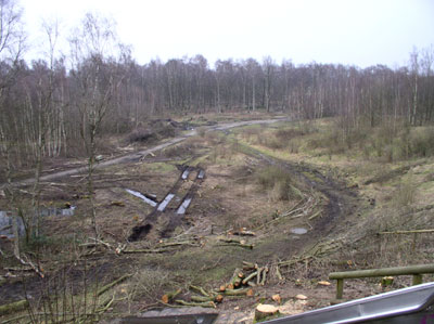 Landesgartenschau Norderstedt Beginn 2008