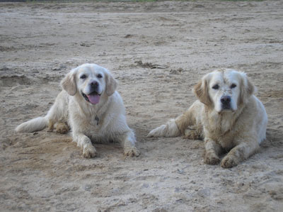 Tizia und Tula