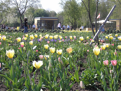 Landesgartenschau Norderstedt 2011