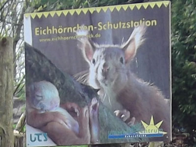 Eichhörnchen-Schutzstation