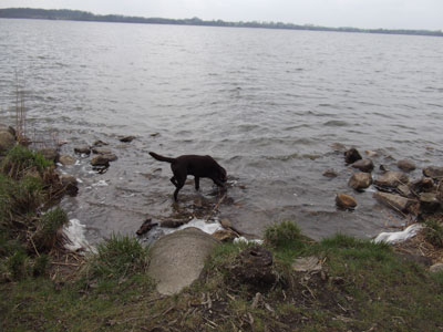 Mit Jantar in Eckernförde