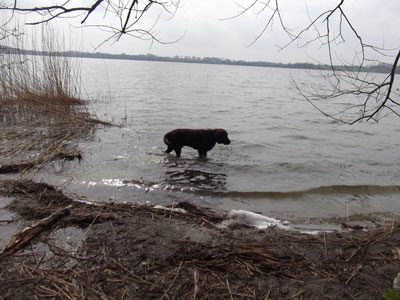 Mit Jantar in Eckernförde