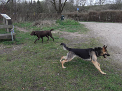 Mit Jantar in Eckernförde