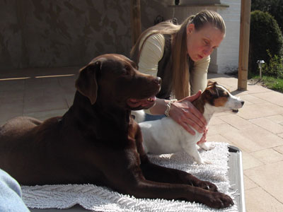 Jantar, Yoyo und Katja