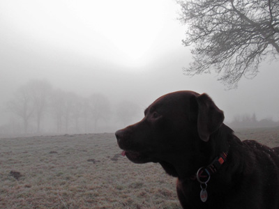 Jantar im Nebel