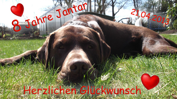 Jantars 8. Geburtstag