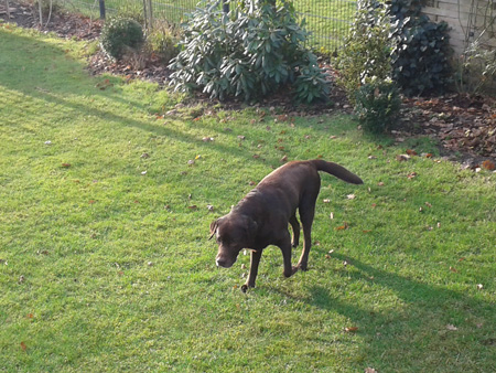 Jantar Heiligabend 2015